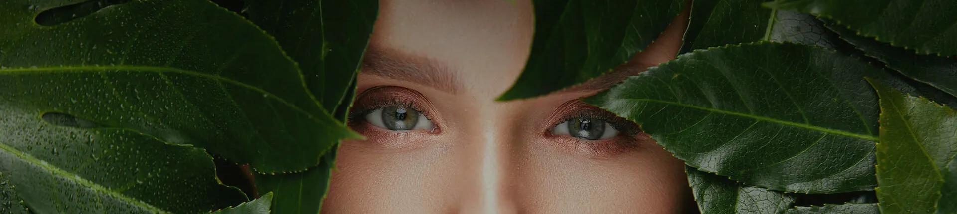 Skincare leaves and skin close up